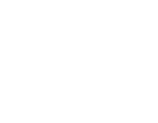 logo_light